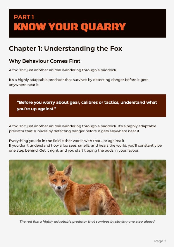 The FoxOff Guide to Thermal Fox Hunting